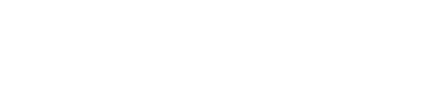 Forza Motors MG — Manutenção e Performance